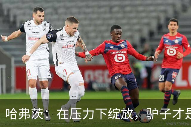 哈弗茨：在压力下绽放，驴子才是我的真爱